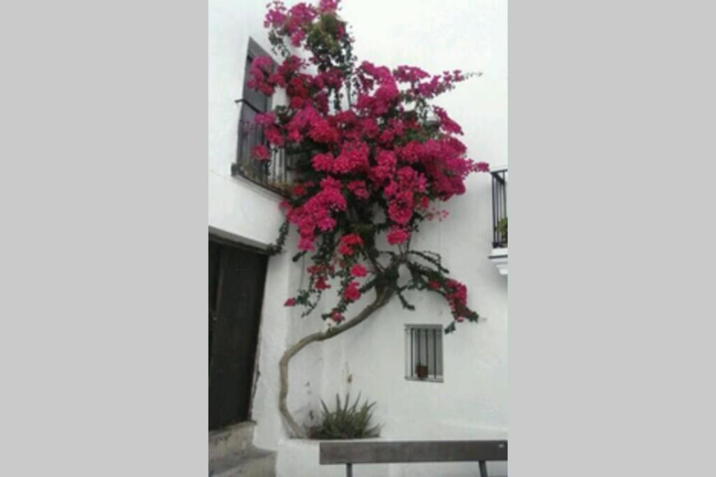 Albayalde Cielo Y Mar Leilighet Vejer de la Frontera Eksteriør bilde